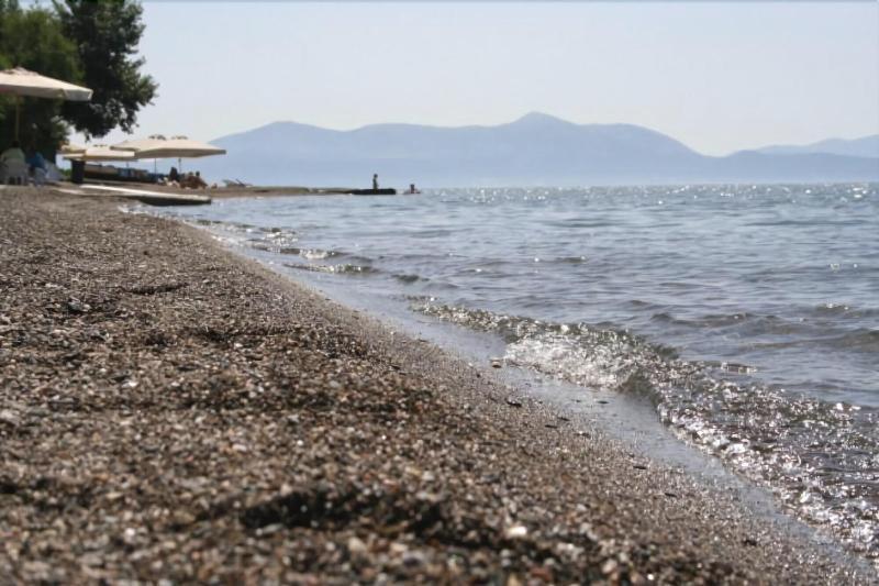 Posidonia Pension Amarynthos Exterior foto