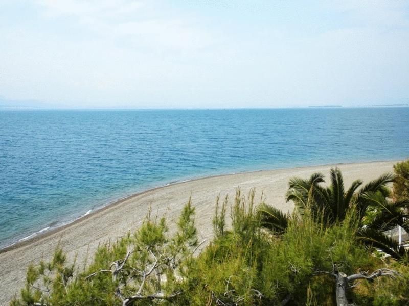 Posidonia Pension Amarynthos Exterior foto