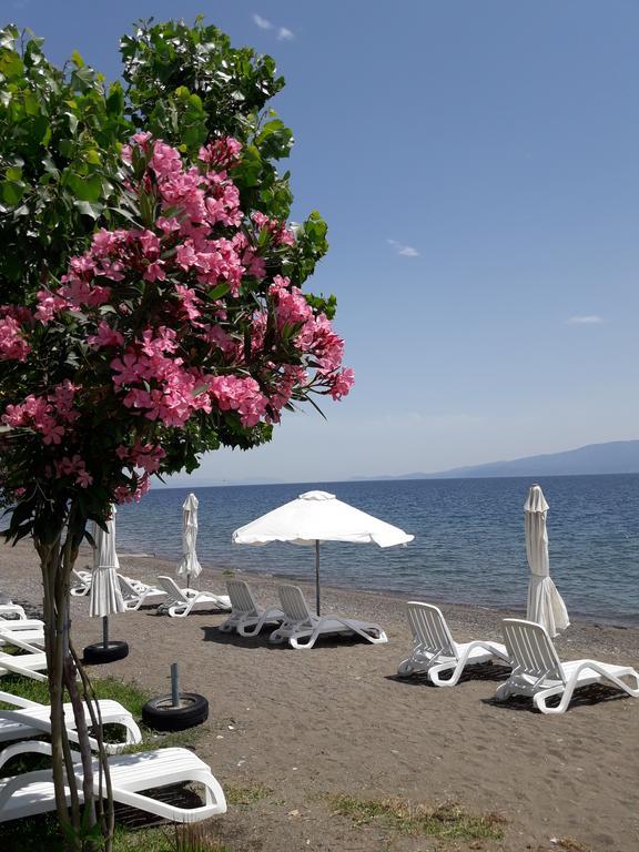 Posidonia Pension Amarynthos Exterior foto
